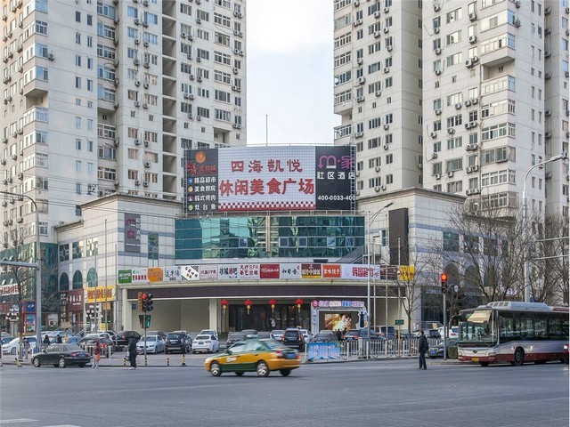 云南富源白魔芋种子什么时候播种