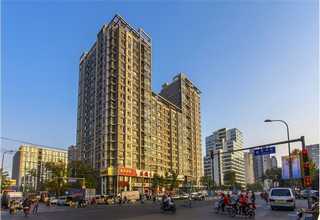 鱼饵大西洋马铃薯全粉经销商